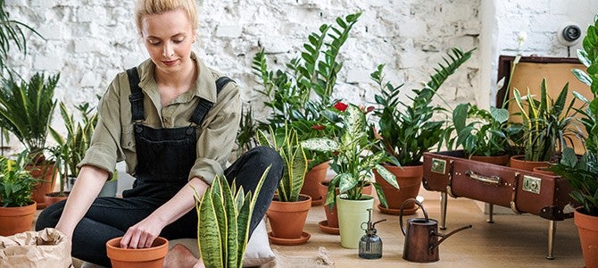 Staying Active Image 03 woman in overalls potting plants - by cottonbro on pexels