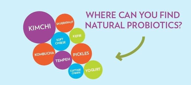 Defendables article infographics Pharmanex Kids Defendables: natural probiotics found in food